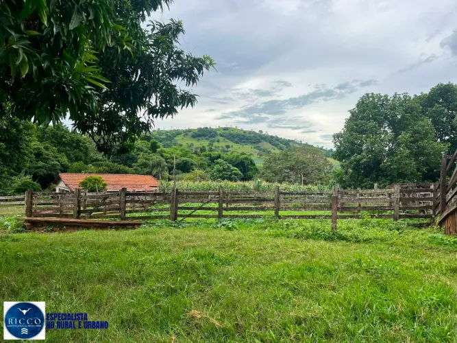 Chácara à venda em Paraúna-GO - 12 Alqueires