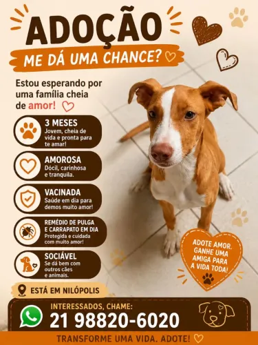 Doação de animais