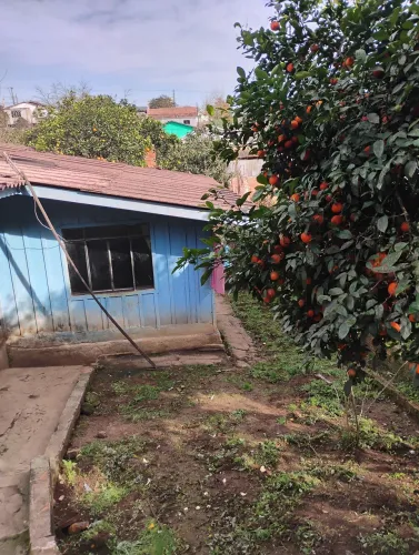 Terreno com casa de madeira