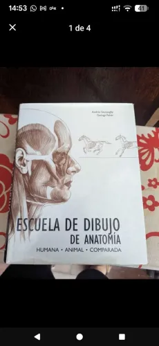Livro de desenho de anatomia humana em espanhol