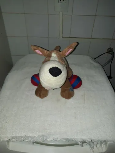 CÃO de pelúcia