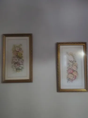 Dois quadros moldurados