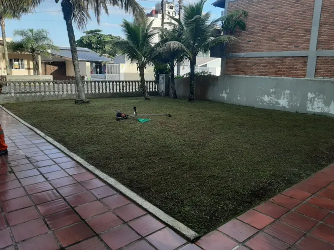Corte de grama aparar grama poda de árvore 