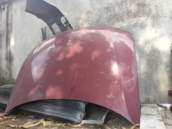 Capu bora / Passat alemão
