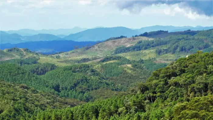 Fazenda em Rancho Queimado com 660 HA- Serra Catarinense