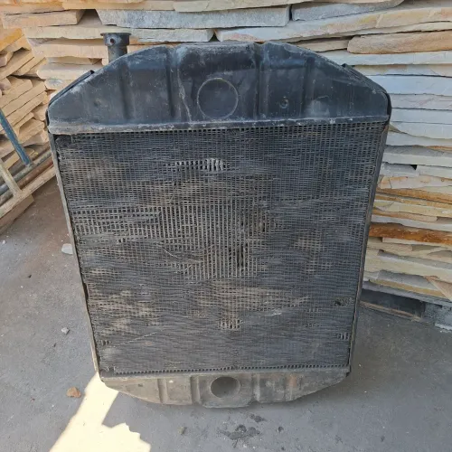 Radiador Caminhão 1113