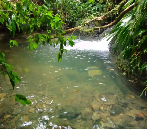 VENDE-SE SÍTIO EM TAPIRAÍ 