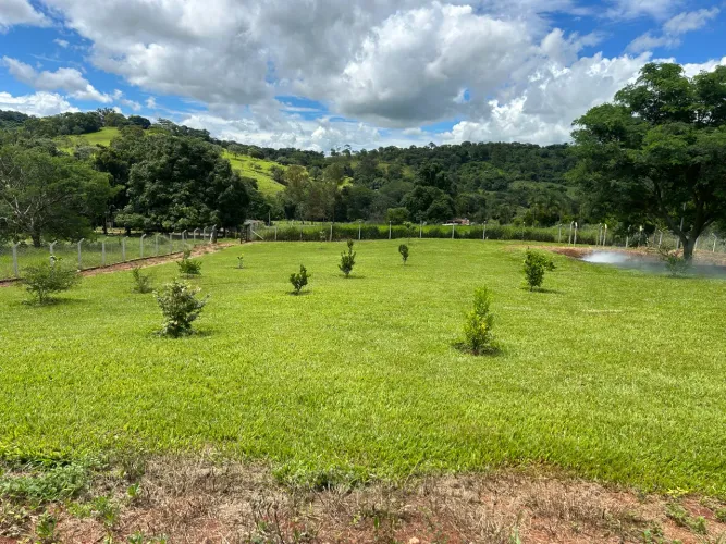 Chácara 3.000 m2 em Nova Veneza Go