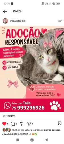 LINDO CASAL DE CASTRADOS