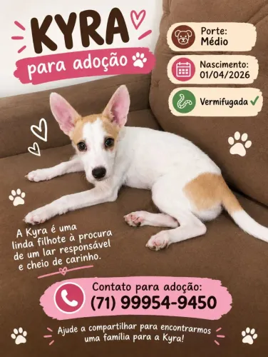 Adoção responsável!