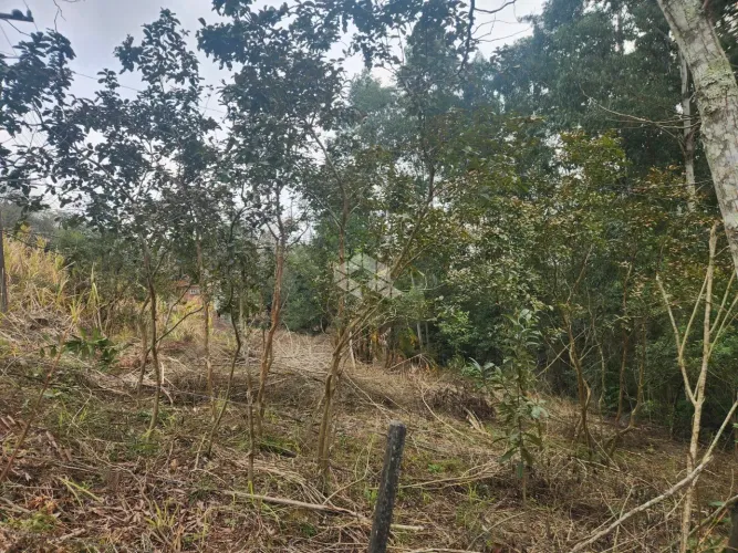 Chácara com 2 hectares a venda na Linha Antão!
