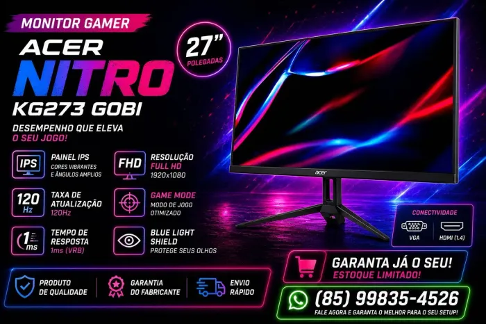 Monitor Gamer