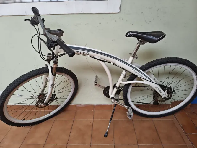 Bike Tito aro 29