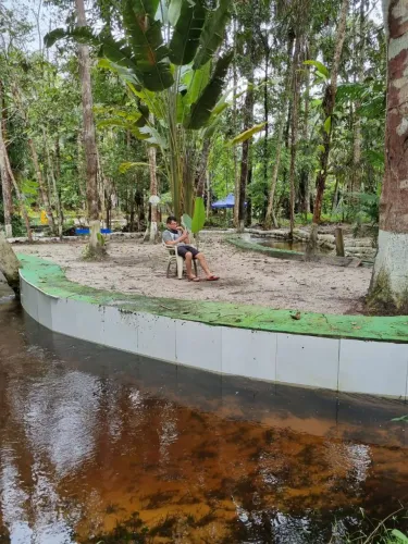 Vendo esse paraíso com várias árvores fruteira venha sedonno dessa maravilha