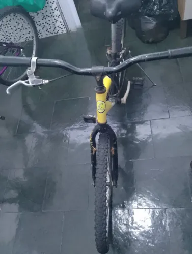 Bicicleta