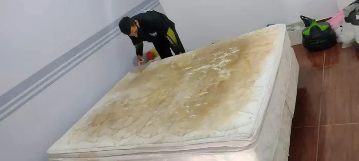 Higienização e limpeza de colchões removemos manchas de sangue,urina e mofo