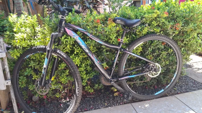 Bicicleta 
