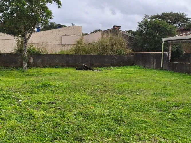 Terreno no bairro farol 14x24