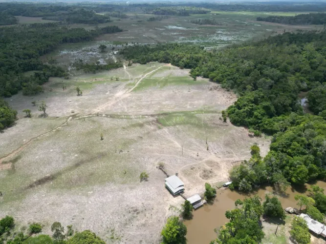Fazenda de 320 ha para criação de Búfalos.