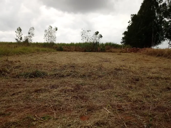 Potirendaba - Chácara-Terreno em área rural - ao lado da Formosa
