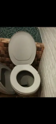 Assento Sanitário em Ótimo Estado