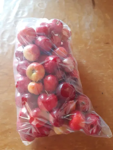 Vendo acerola. 