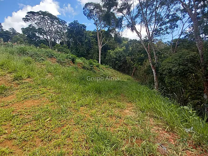 Lote / Terreno - Novo Horizonte