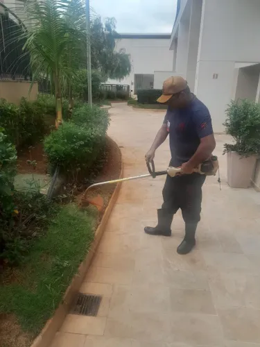 LIMPEZA DE LOTES COM ROÇADEIRA