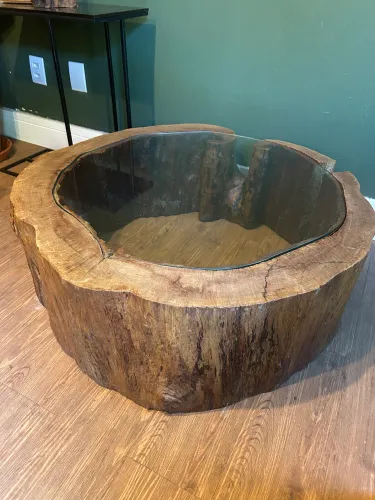 Mesa de centro vidro tronco de árvore