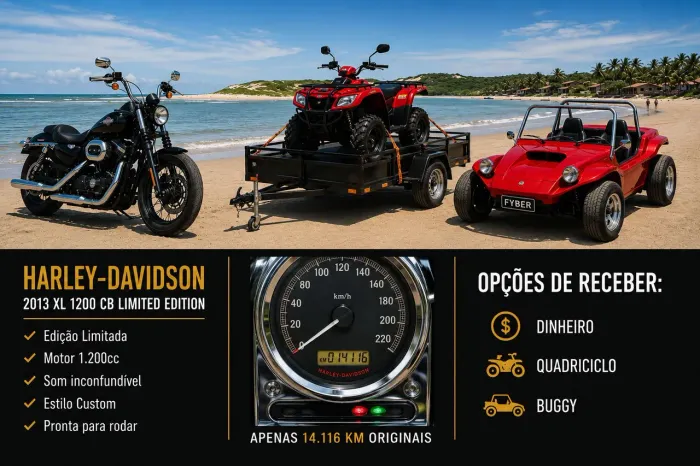 HARLEY DAVIDSON Sportser XL 1200 - TROCO