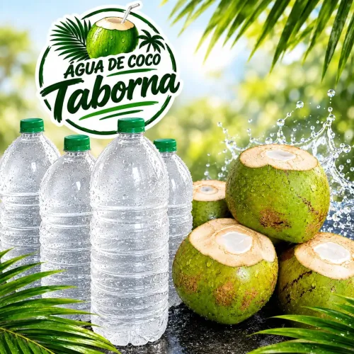 Água de coco geladinha é engarrafada