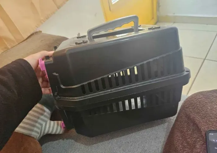Caixa de transporte para filhotes 