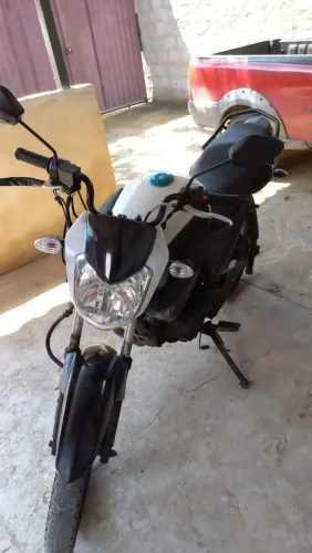 Unico