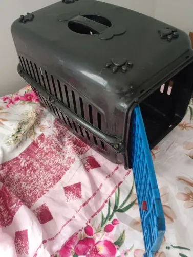 Caixa de transporte para Gatos. RS 40,00.