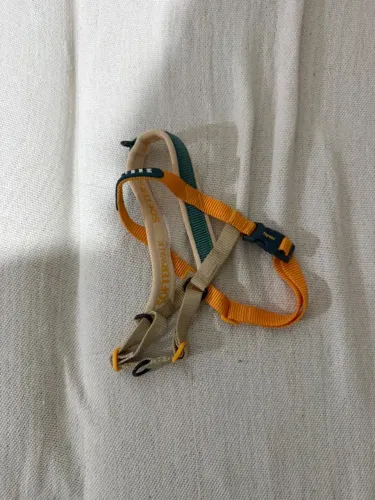 Peitoral zeedog