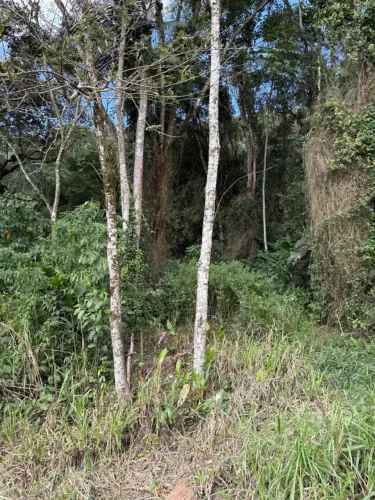 SÍTIO A VENDA NO RIO CERRO II EM JARAGUÁ DO SUL