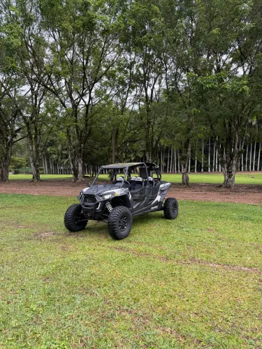 UTV POLARIS RZR 1000 4 LUGAR