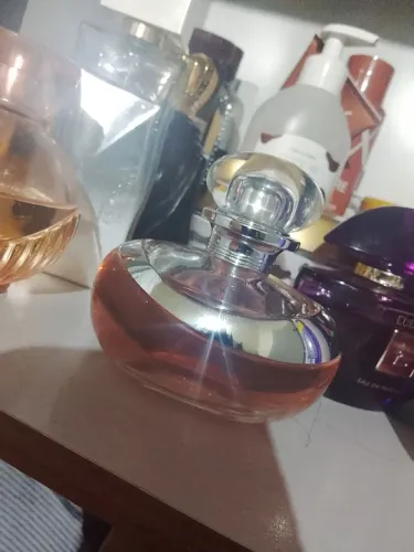 Lilly Absolu