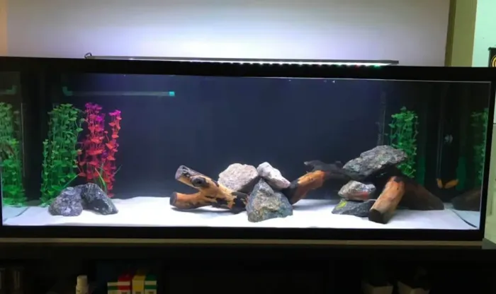 Aquario 280l completo