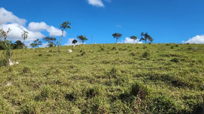 Terreno com pastagem formada Bonfim/MG