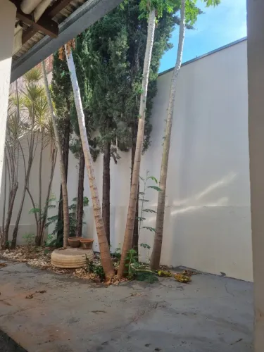 Casa a venda em Catanduva