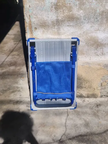 Carrinho De Plataforma de Aço 100KG Novex