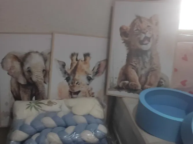 Protetor de berço,nicho e quadros 