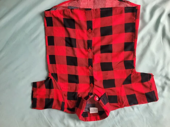 Camisa