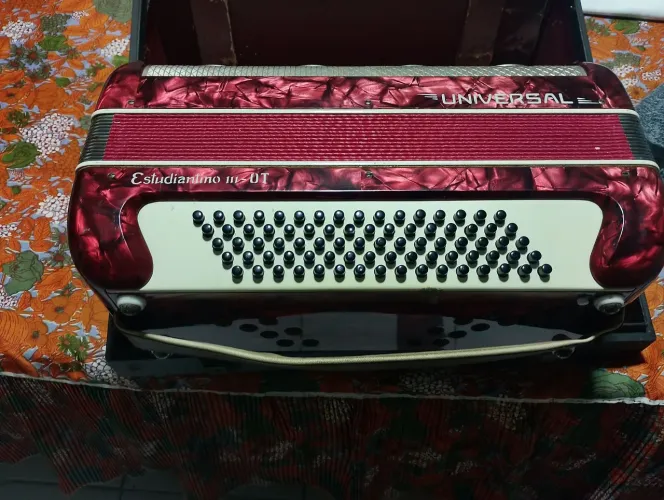 Acordeon