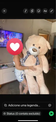 Vendo urso de pelúcia novo