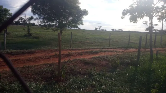 Fazenda com altitude pra café próximo Uberlandia 