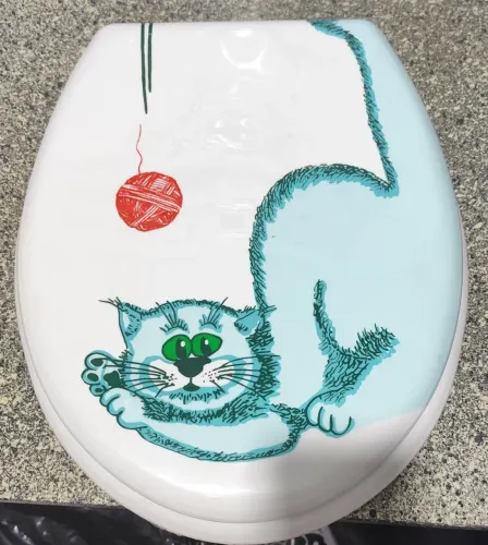 Vendo duas tampas de vaso sanitário novo 150 reais cada uma