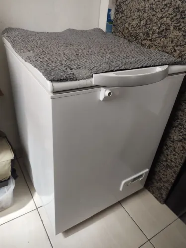 Freezer Novo Eletrolux 162