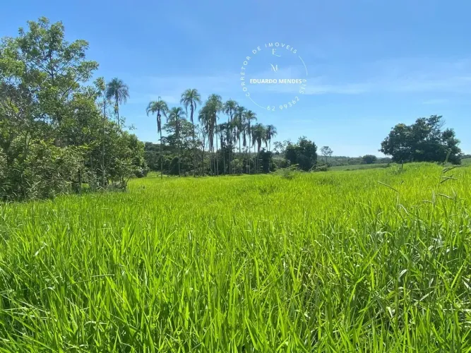 Terra p/ plantio de lavouras, eucalipto, ou gado, 10 alqueires - Abadiânia - GO